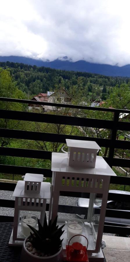 Villa Maya Borşa Buitenkant foto