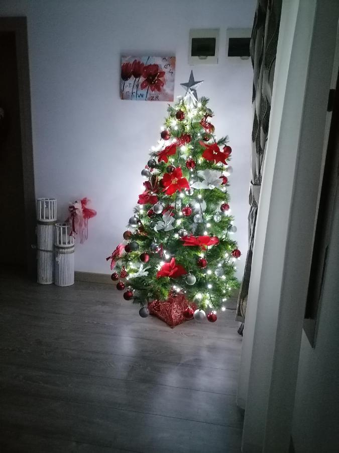 Villa Maya Borşa Buitenkant foto