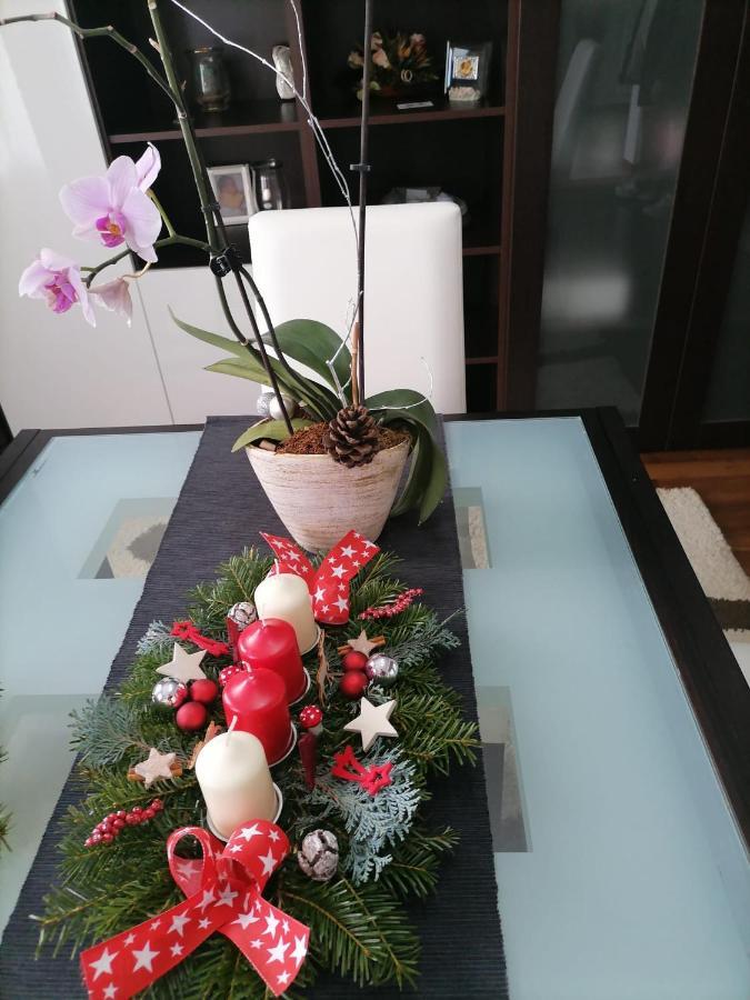 Villa Maya Borşa Buitenkant foto